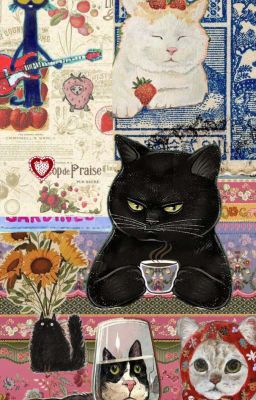 on2eus | đàn ông giả gái