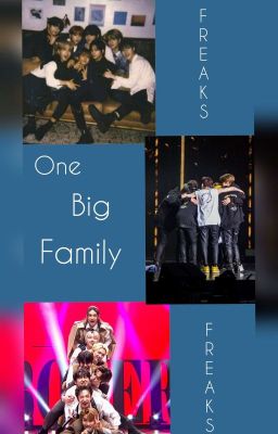 ~One big Family {Freaks} ~ (Stray Kids OS)