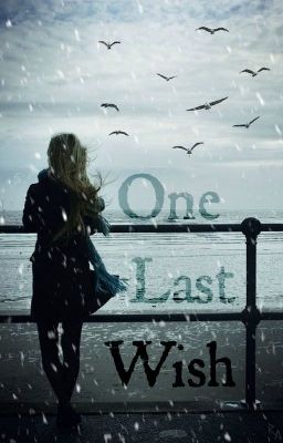 One Last Wish [Liam Payne]