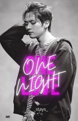 One Night One Love || SKZ Minsung ZAWIESZONE 