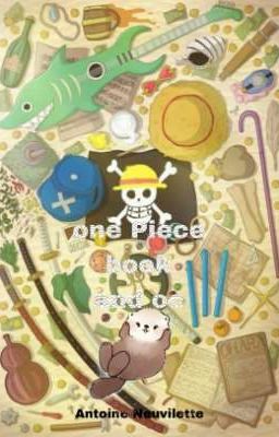 one Piece book and oc