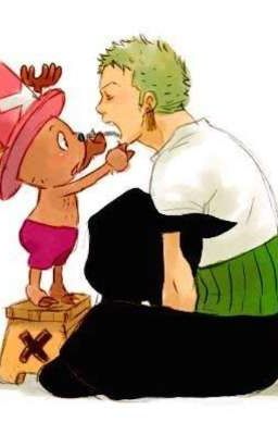 One piece (Choper x Zoro)