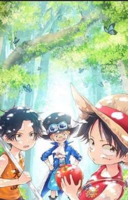 (One Piece) Multiverse & Memories Of Monkey D Luffy