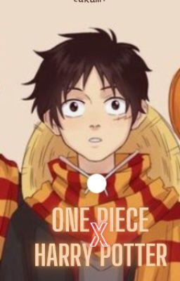 One piece x harry potter