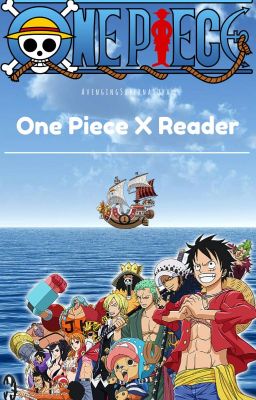 One Piece X Reader