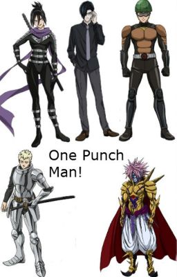 One Punch Man Male Characters X Reader