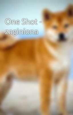 One Shot - zaginiona