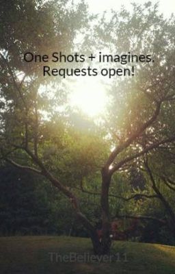 One Shots + imagines. Requests open!