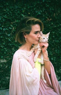 One Shots Sarah Paulson(OSSP).