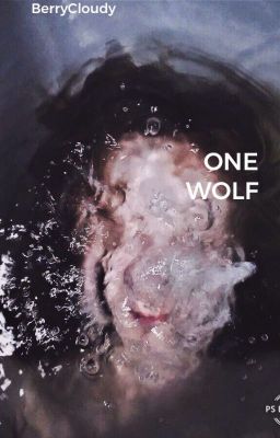 One Wolf