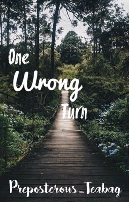 One Wrong Turn