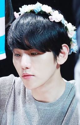 [ Oneshort ] [ Chanbaek ] Người yêu bé nhỏ