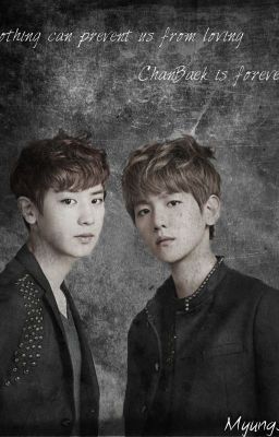 |Oneshot|Chàng trai tôi yêu|ChanBaek