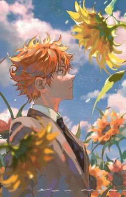 \Oneshot\[Haikyuu/HQ](KenHina)Hướng Dương Và Mặt Trời