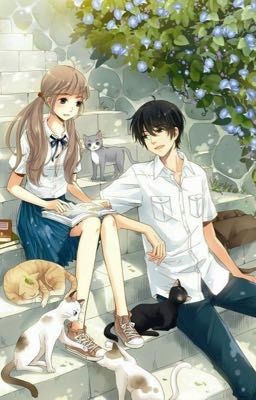 [Oneshot] [Ma Kết x Xử Nữ] Đơn phương? Nó đau lắm!