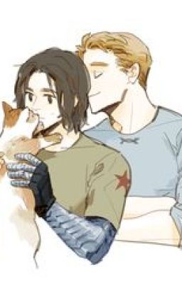 [Oneshot|Stucky] UNDIVIDED