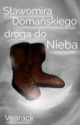 [Oneshot] Sławomira Domańskiego droga do Nieba