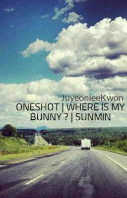 ONESHOT | WHERE IS MY BUNNY ? | SUNMIN