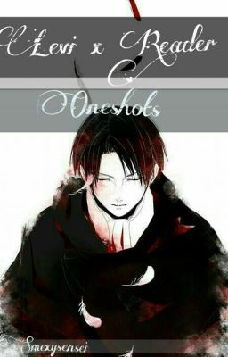 Oneshots| Levi x Reader|