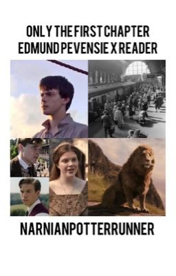 Only the First Chapter - Edmund Pevensie X Reader