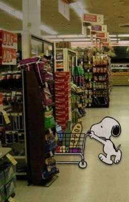 [onran] vụn bánh quy