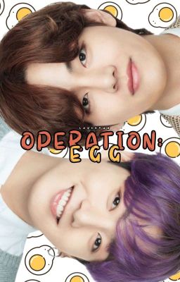 operation: egg 承 taekook