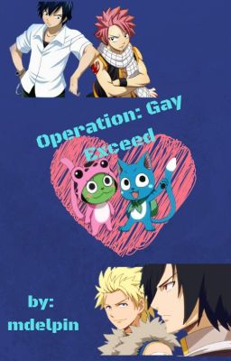 Operation: Gay Exceed