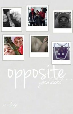 opposite | Ardy