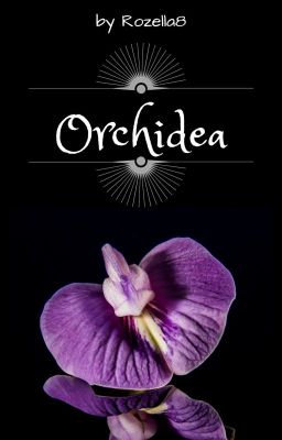 Orchidea