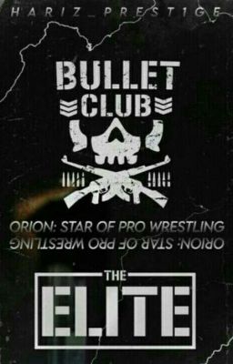 ORION: STAR OF PRO WRESTLING (BULLET CLUB FANFIC) [COMPLETED]