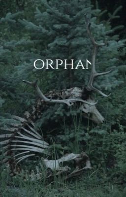 Orphan {P. LaHote} 