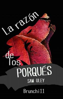 OS- La razón de los PORQUÉS| SAM ULEY