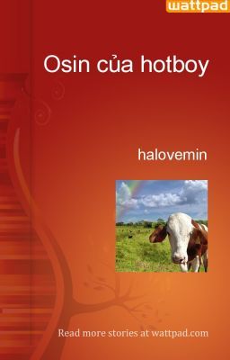 Osin của hotboy