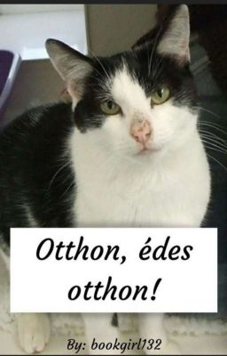 Otthon, édes otthon!