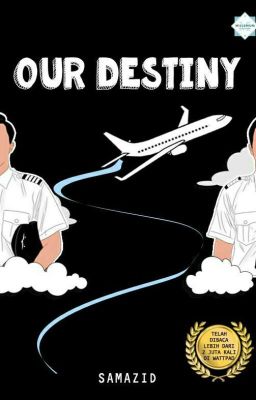 Our Destiny [You're Perfect Pilot ✔]