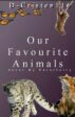  Our Favourite Animals 