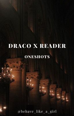 Our Secret Relationship (Draco x reader oneshot)