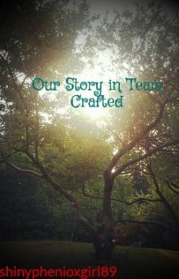 Our Story in Team Crafted