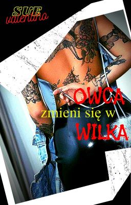 OWCA ZMIENI SIĘ W WILKA