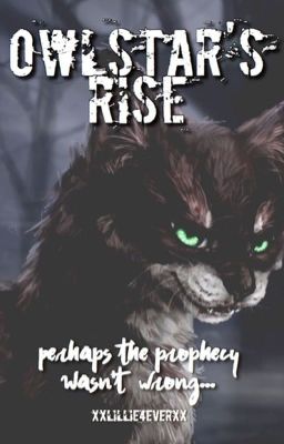 Owlstar's Rise [Warrior Cats Fanfiction]