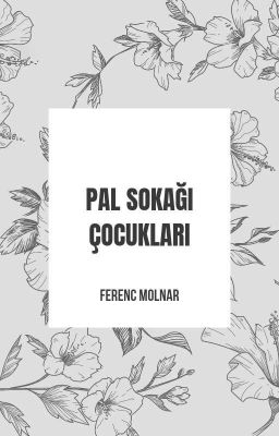 Pal Sokağı Çocukları