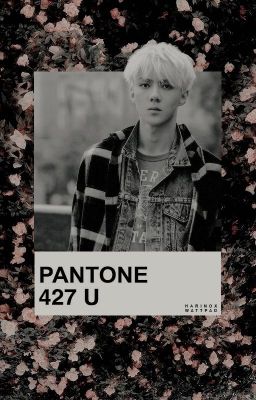 Pantone 427 | HunHan