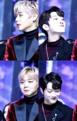 PanWink | Thanh Xuân