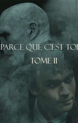 Parce que c'est toi (tome II)