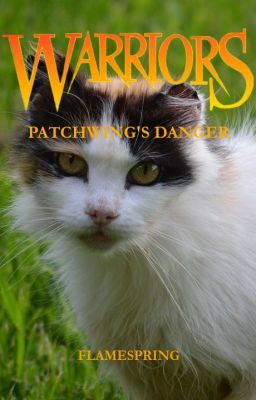 Patchwing's Danger