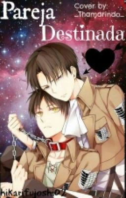 <PAUSADO> Pareja Destinada [riren/omegaverse]