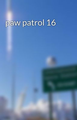 paw patrol 16