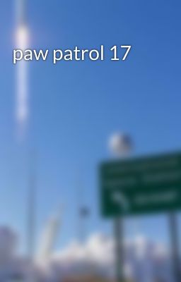 paw patrol 17