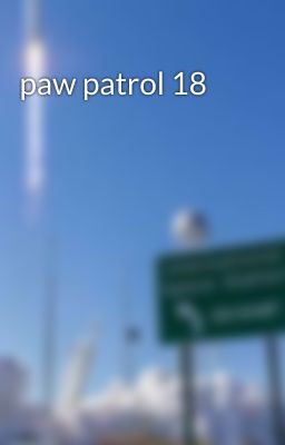 paw patrol 18