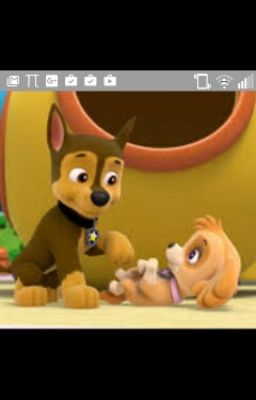 Paw Patrol Chase And Skye's Love Story